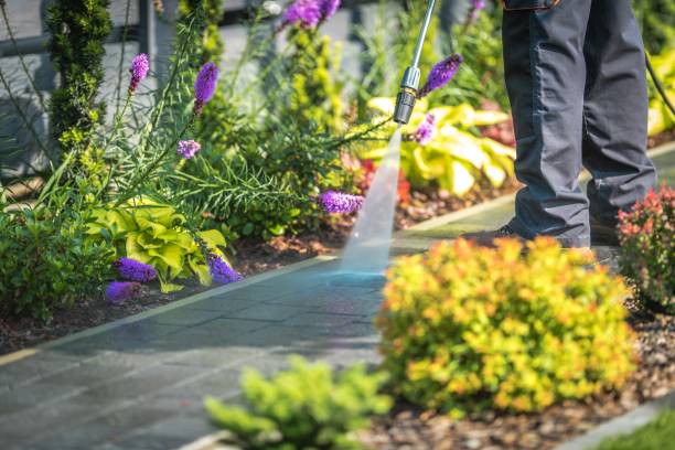 Best Animal Enclosure Cleaning  in Richmond, TX